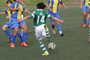 星空体育app-上海申花再遭柔佛新山逆转，1-3失利痛失连胜机会